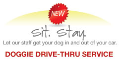 Doggie Drive-Thru Service