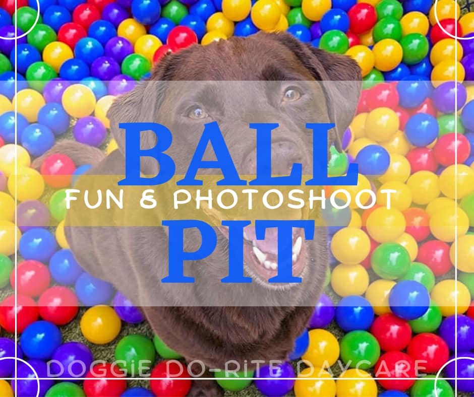 Ball Pit Fun & Photoshoot